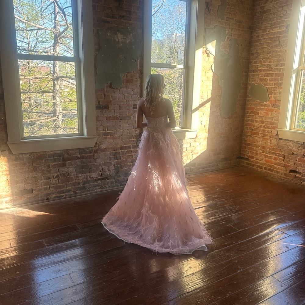Portia and Scarlett Blush Feathered Gown
